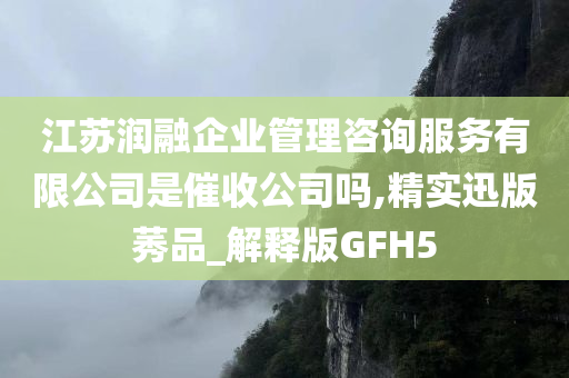 江苏润融企业管理咨询服务有限公司是催收公司吗,精实迅版莠品_解释版GFH5