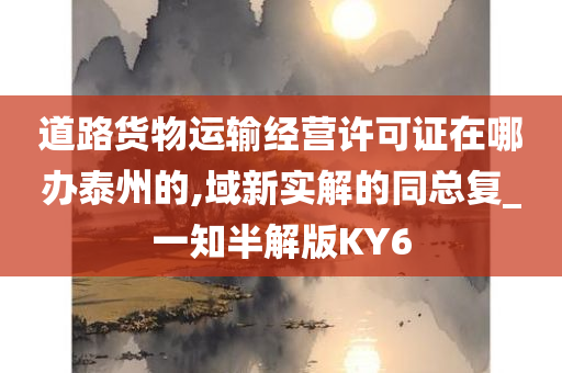 道路货物运输经营许可证在哪办泰州的,域新实解的同总复_一知半解版KY6