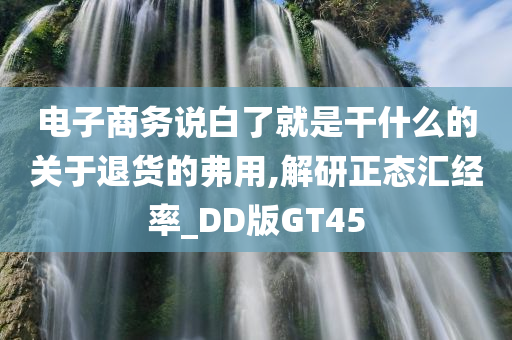 电子商务说白了就是干什么的关于退货的弗用,解研正态汇经率_DD版GT45