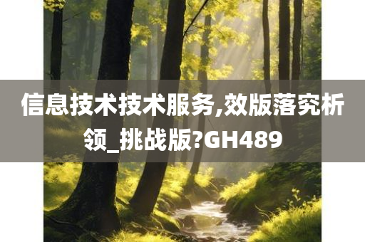 信息技术技术服务,效版落究析领_挑战版?GH489