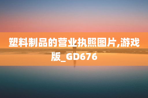 塑料制品的营业执照图片,游戏版_GD676