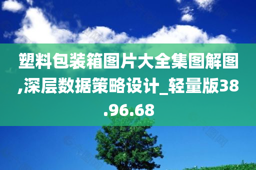 塑料包装箱图片大全集图解图,深层数据策略设计_轻量版38.96.68