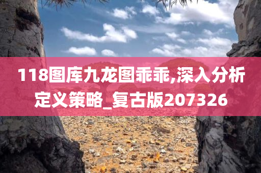 118图库九龙图乖乖,深入分析定义策略_复古版207326