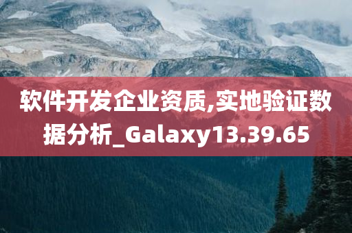 软件开发企业资质,实地验证数据分析_Galaxy13.39.65