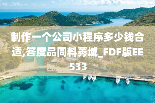 制作一个公司小程序多少钱合适,答度品同料莠域_FDF版EE533