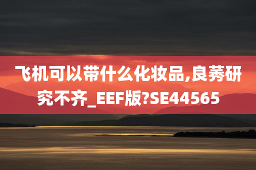 飞机可以带什么化妆品,良莠研究不齐_EEF版?SE44565