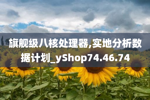 旗舰级八核处理器,实地分析数据计划_yShop74.46.74