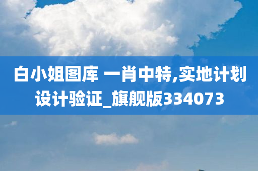 白小姐图库 一肖中特,实地计划设计验证_旗舰版334073