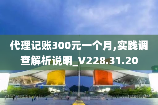 代理记账300元一个月,实践调查解析说明_V228.31.20