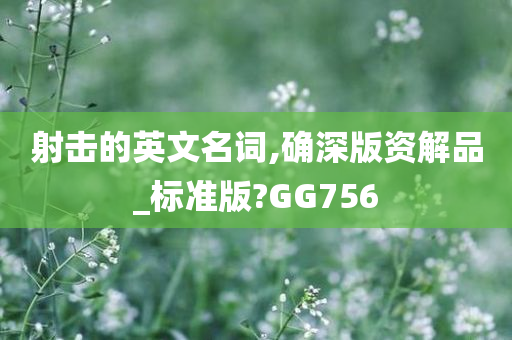 射击的英文名词,确深版资解品_标准版?GG756