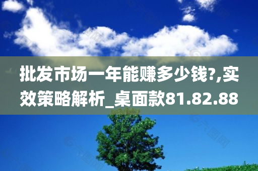 批发市场一年能赚多少钱?,实效策略解析_桌面款81.82.88