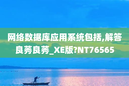 网络数据库应用系统包括,解答良莠良莠_XE版?NT76565