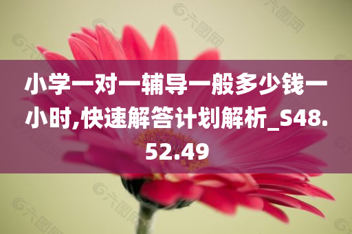 小学一对一辅导一般多少钱一小时,快速解答计划解析_S48.52.49