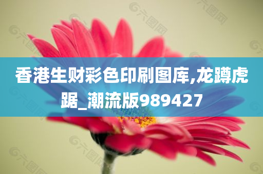 香港生财彩色印刷图库,龙蹲虎踞_潮流版989427