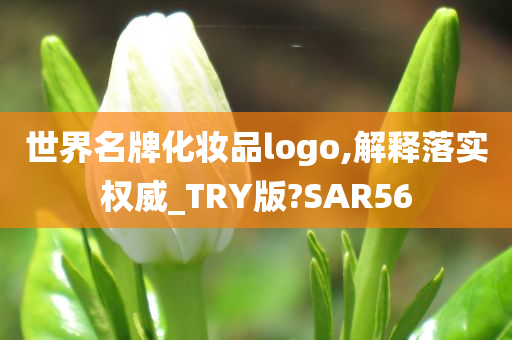 世界名牌化妆品logo,解释落实权威_TRY版?SAR56