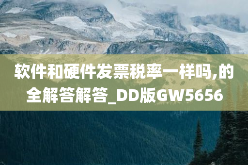 软件和硬件发票税率一样吗,的全解答解答_DD版GW5656