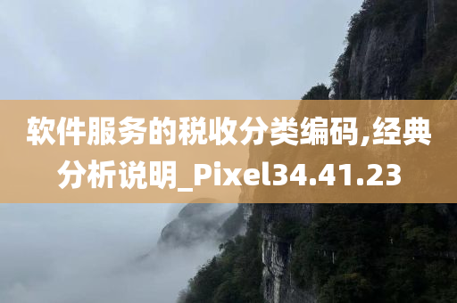 软件服务的税收分类编码,经典分析说明_Pixel34.41.23