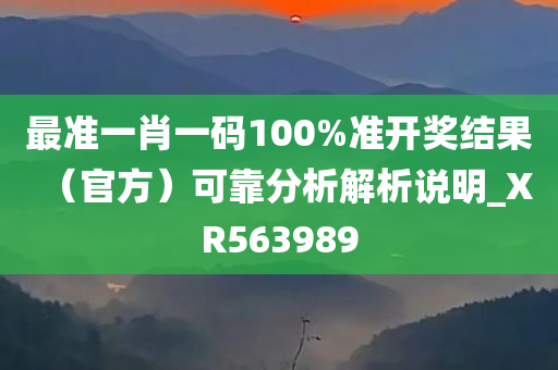 最准一肖一码100%准开奖结果（官方）可靠分析解析说明_XR563989