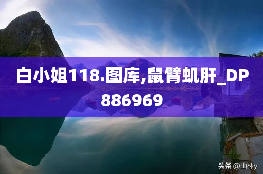 白小姐118.图库,鼠臂虮肝_DP886969