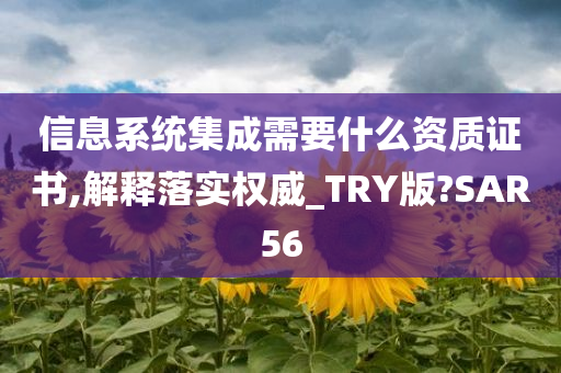 信息系统集成需要什么资质证书,解释落实权威_TRY版?SAR56