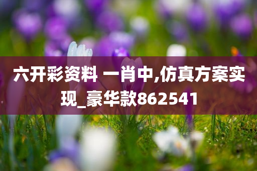 六开彩资料 一肖中,仿真方案实现_豪华款862541