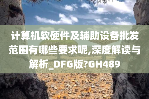 计算机软硬件及辅助设备批发范围有哪些要求呢,深度解读与解析_DFG版?GH489