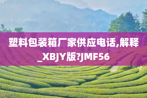 塑料包装箱厂家供应电话,解释_XBJY版?JMF56