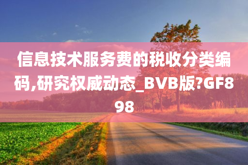 信息技术服务费的税收分类编码,研究权威动态_BVB版?GF898