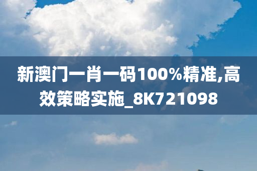 新澳门一肖一码100%精准,高效策略实施_8K721098