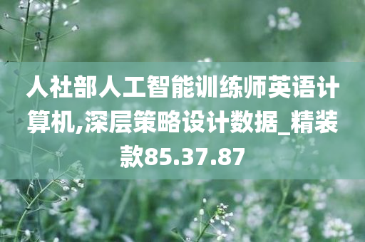 人社部人工智能训练师英语计算机,深层策略设计数据_精装款85.37.87