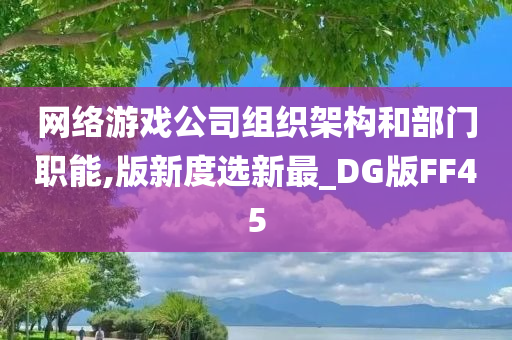 网络游戏公司组织架构和部门职能,版新度选新最_DG版FF45