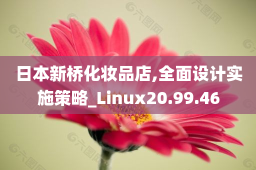 日本新桥化妆品店,全面设计实施策略_Linux20.99.46