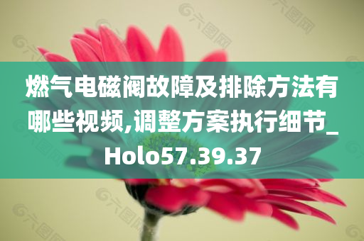 燃气电磁阀故障及排除方法有哪些视频,调整方案执行细节_Holo57.39.37