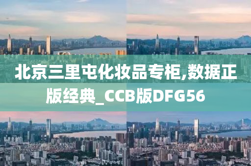 北京三里屯化妆品专柜,数据正版经典_CCB版DFG56