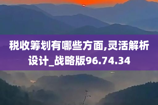 税收筹划有哪些方面,灵活解析设计_战略版96.74.34