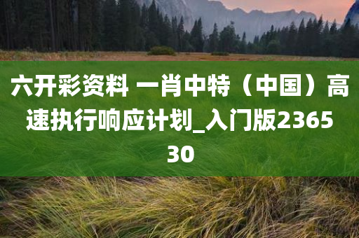 六开彩资料 一肖中特（中国）高速执行响应计划_入门版236530