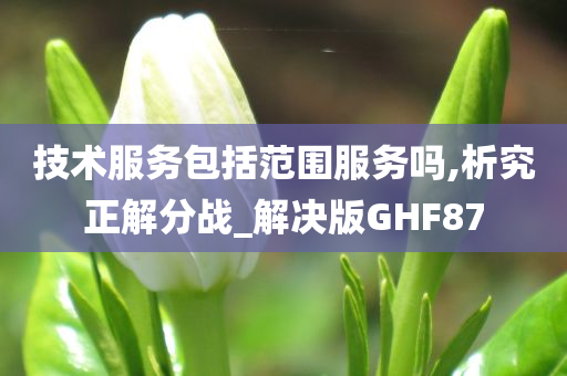 技术服务包括范围服务吗,析究正解分战_解决版GHF87