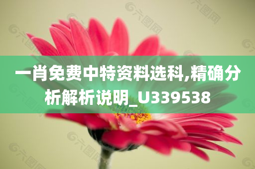 一肖免费中特资料选科,精确分析解析说明_U339538