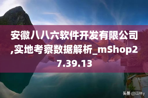 安徽八八六软件开发有限公司,实地考察数据解析_mShop27.39.13