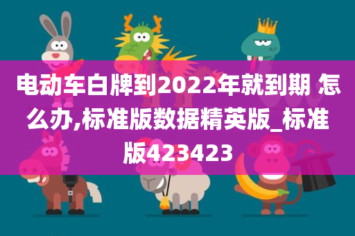 电动车白牌到2022年就到期 怎么办,标准版数据精英版_标准版423423