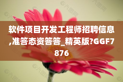 软件项目开发工程师招聘信息,准答态资答答_精英版?GGF7876