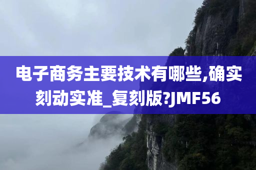 电子商务主要技术有哪些,确实刻动实准_复刻版?JMF56