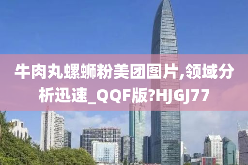 牛肉丸螺蛳粉美团图片,领域分析迅速_QQF版?HJGJ77