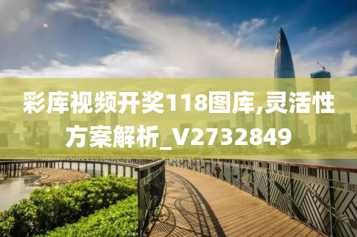 彩库视频开奖118图库,灵活性方案解析_V2732849