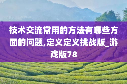 技术交流常用的方法有哪些方面的问题,定义定义挑战版_游戏版78