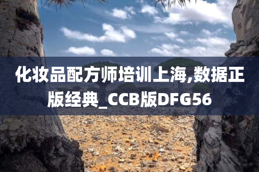 化妆品配方师培训上海,数据正版经典_CCB版DFG56