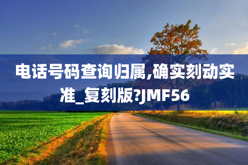 电话号码查询归属,确实刻动实准_复刻版?JMF56