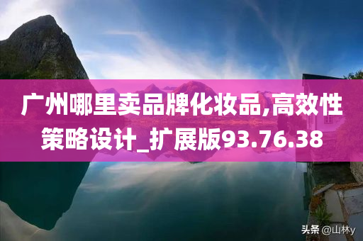 广州哪里卖品牌化妆品,高效性策略设计_扩展版93.76.38