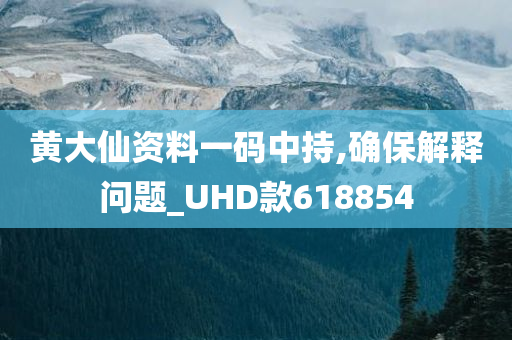 黄大仙资料一码中持,确保解释问题_UHD款618854