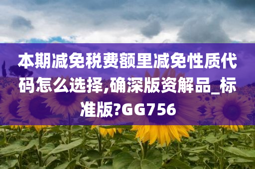 本期减免税费额里减免性质代码怎么选择,确深版资解品_标准版?GG756